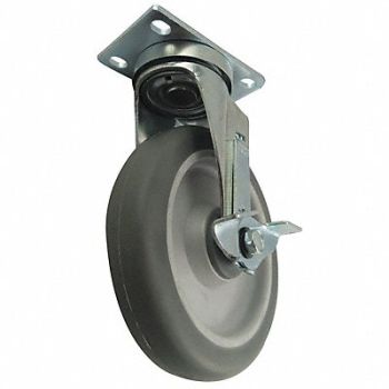 GRAINGER APPROVED Standard Plate Caster Swivel 325 lb., 406P67