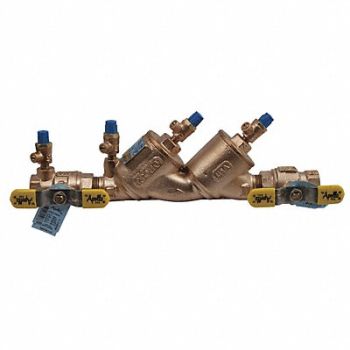 APOLLO Double Check Valve Assembly Size 2 In., 40D851