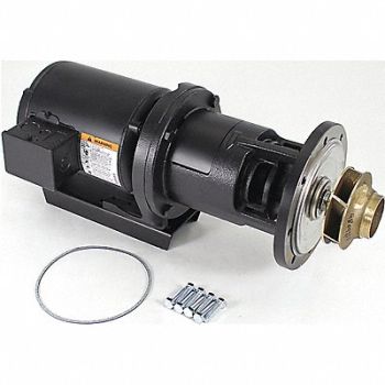 TELEDYNE LAARS Pump and Motor 1/3 HP, 40LY91