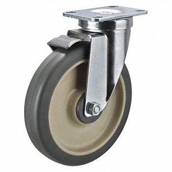 GRAINGER APPROVED Standard Plate Caster Swivel 300 lb., 40N489