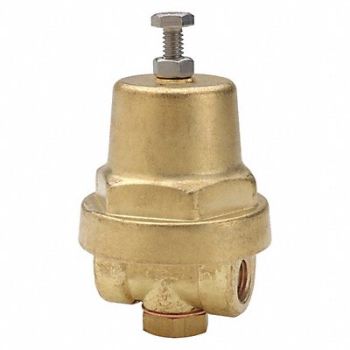 CASH VALVE Cryogenic Pressure Regulator 7-1/4 in L, 40PP55