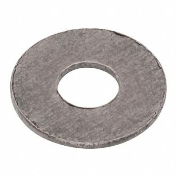 GRAINGER APPROVED FltWsh Plain Titanium #2 1/4x0.018in 5PK, 420M93