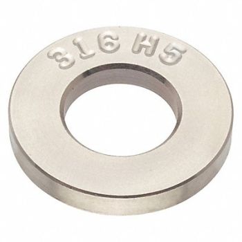 GRAINGER APPROVED StrctFltWsh 316H5 SS 5/16 .69x.094 1PK, 420R53