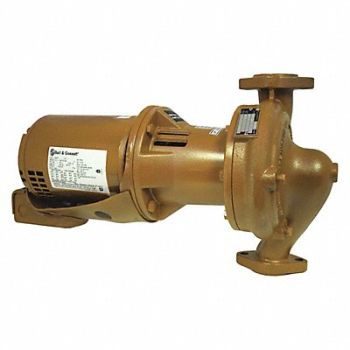 BELL GOSSETT Potable Circulating Pump, 422W66