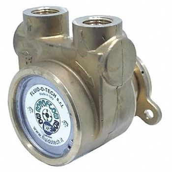 FLUID-O-TECH Pump 1/2 NPTF 170 Max GPH SS, 423J77