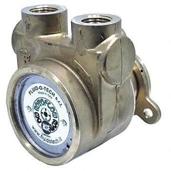 FLUID-O-TECH Pump 3/8 NPTF 144 Max GPH SS, 423J91