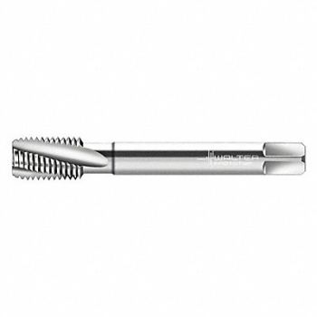 WALTER PROTOTYP Spiral Flute Tap M36x4.00 HSS, 426Y43