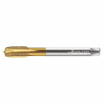 WALTER PROTOTYP Spiral Point Tap M20x2.5 HSS, 427G83