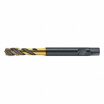 WALTER PROTOTYP Spiral Flute Tap 5/16 -24 HSS, 427X24