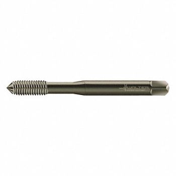 WALTER PROTOTYP Thread Forming Tap M8x1.25 HSS, 427X52