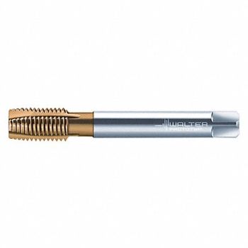 WALTER PROTOTYP Spiral Point Tap M20x2.5 HSS, 428L33