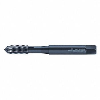 WALTER PROTOTYP Spiral Point Tap M8x1.25 HSS-E, 428L29