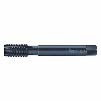 WALTER PROTOTYP Pipe/Conduit Thread Tap 3/8 -19 HSS-E, 428P89