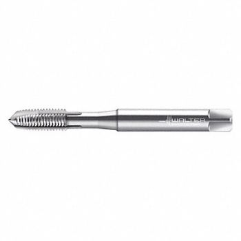 WALTER PROTOTYP STI Tap M8x1.25 HSS, 428T44