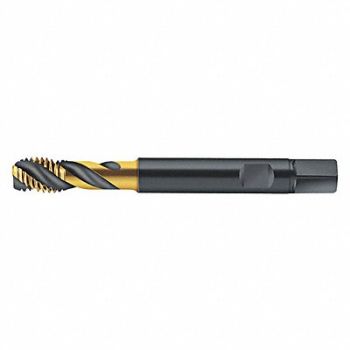 WALTER PROTOTYP Spiral Flute Tap M20x2.50 HSS, 429D60