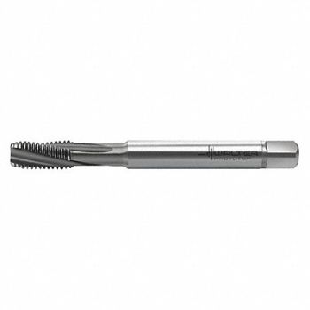 WALTER PROTOTYP Spiral Flute Tap M8x1.25 HSS-E, 429F96