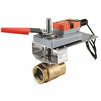 BELIMO Valve Assembly 2in Non Spring Return, 42FG36