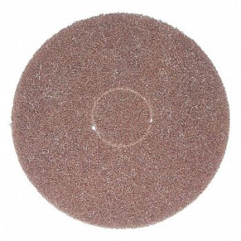 BISSELL COMMERCIAL Scrubbing Pad Brown 12 in., 42PD29