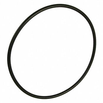 SPEEDAIRE O-Ring, 42VA58