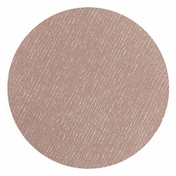 NORTON Hook-and-Loop Sanding Disc 5 in Dia, 436F54