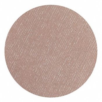 NORTON Hook-and-Loop Sanding Disc 5 in Dia, 436F55