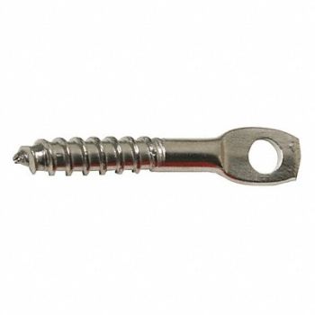 BIRD BARRIER Screw Eye 1/4 L Silver PK100, 436G62