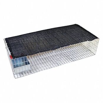 BIRD BARRIER Pigeon Trap w/Shade Water and Feeder, 43RG88