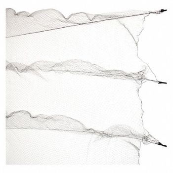 BIRD BARRIER Mist Net 8 x 30 ft., 43RH93