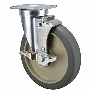 GRAINGER APPROVED Standard Plate Caster Swivel 300 lb., 440A77