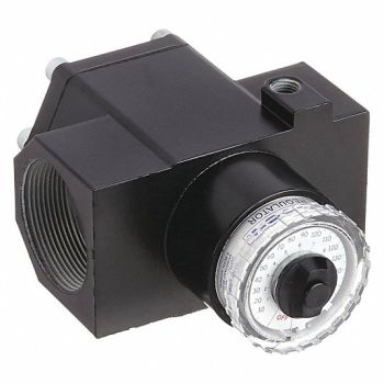 WILKERSON Dial-Air Regulator 2In, 44D092
