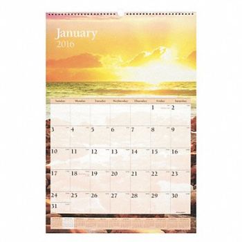 AT-A-GLANCE Wall Calendar Monthly Scenic, 44NR34
