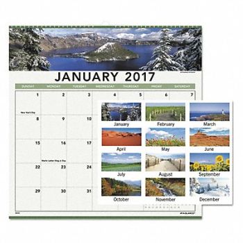 AT-A-GLANCE Wall Calendar Monthly Landscape, 44NP96