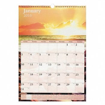 AT-A-GLANCE Wall Calendar Monthly 12 X17 Scenic, 44NR33