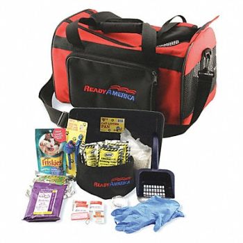 READY AMERICA Cat Emergency Kit 1 Cat Srvd, 44ZL03