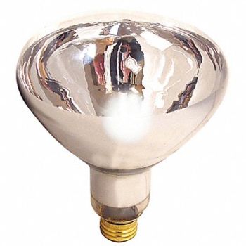 SATCO Incandescent Bulb R40 300 lm 125W, 451F96