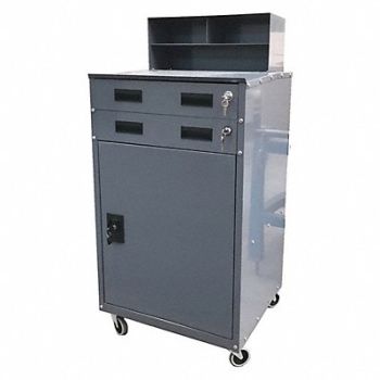 GRAINGER APPROVED Cabinet 48 x23 x20 Gray Mbl, 453J52