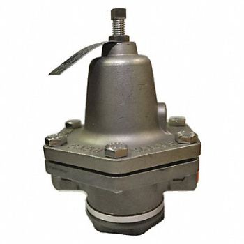 CASH VALVE Steam Pressure Regulator 20 to 60 psi, 457A38