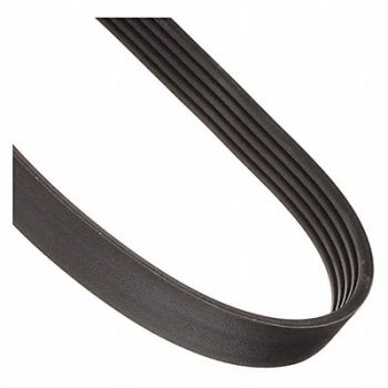 CONTINENTAL Banded V-Belt 5/D600 603in, 459D48