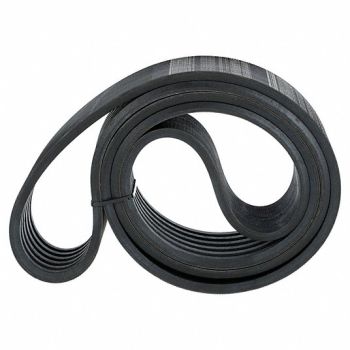 CONTINENTAL Banded V-Belt 6/B148 151in, 459M58
