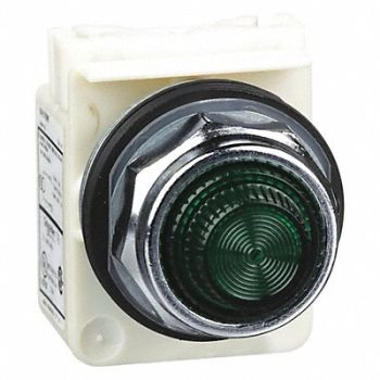 SCHNEIDER ELECTRIC Pilot Light Incan Green 110-120V, 45C453