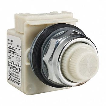 SCHNEIDER ELECTRIC Pilot Light Incan White 110-120V, 45C456