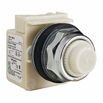 SCHNEIDER ELECTRIC Pilot Light Incan White 24-28VAC/DC, 45C470