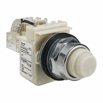 SCHNEIDER ELECTRIC Push to Test Pilot Light White Incand, 45C554