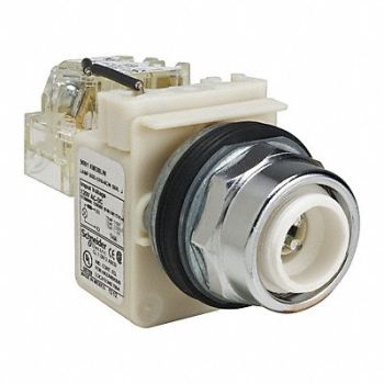SCHNEIDER ELECTRIC Push to Test Pilot Light White LED, 45C566