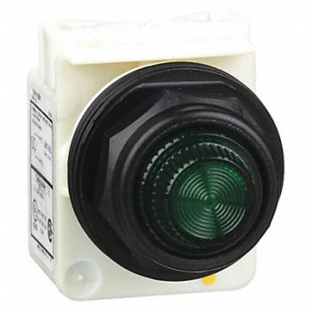 SCHNEIDER ELECTRIC Pilot Light Incan Green 110-120V, 45C604