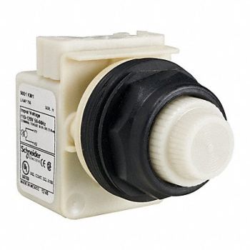 SCHNEIDER ELECTRIC Pilot Light Incan White 110-120V, 45C607