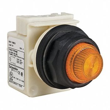 SCHNEIDER ELECTRIC Pilot Light Incan Amber 24-28VAC/DC, 45C609