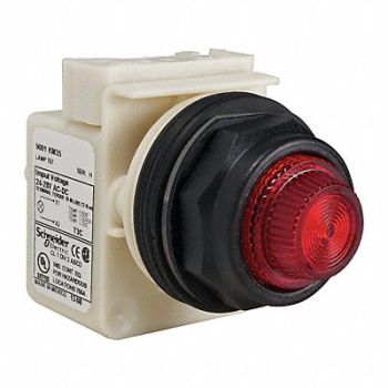 SCHNEIDER ELECTRIC Pilot Light Incan Red 24-28VAC/DC, 45C618