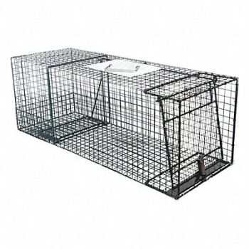 KNESS PEST DEFENSE Live Animal Cage Trap 36 inLx13inWx13inH, 45DV76