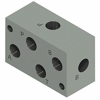 MONARCH Valve Manifold Kit Remote 1/4in NPT Port, 45DV86